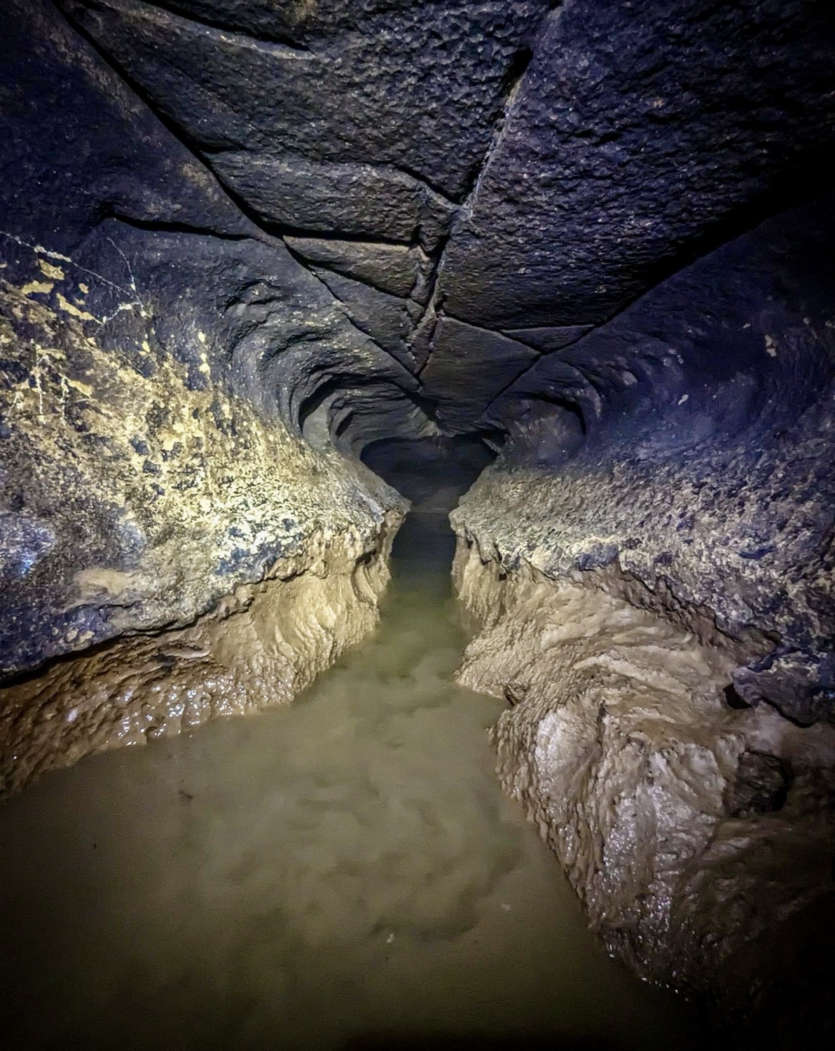 Doghill / Donahue Cave System photo 1